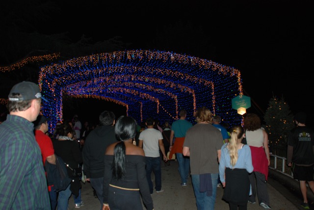 2013-12-20 20-38-11 Trail of Lights.jpg